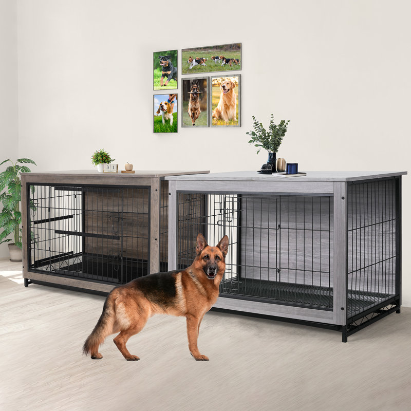 Side by side dog crate 2025